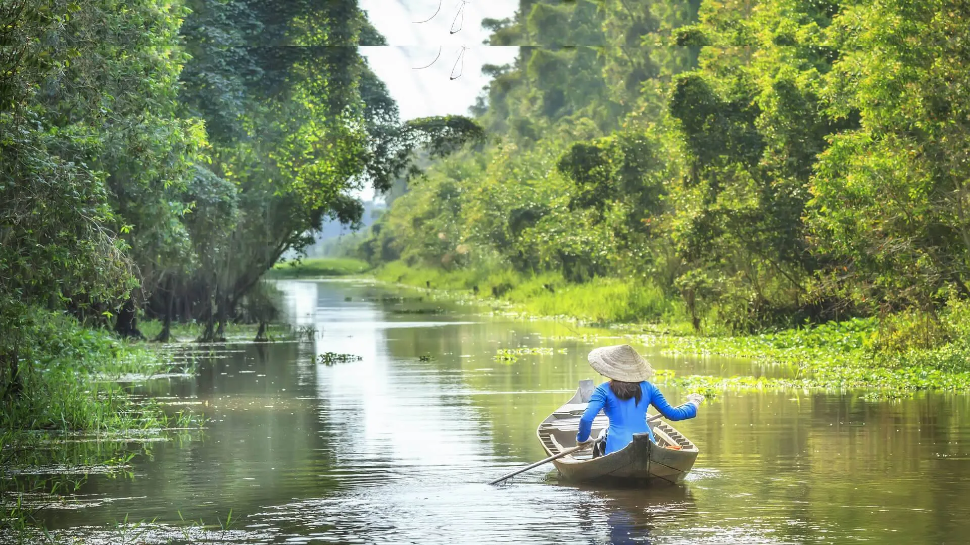 Corporate Tour vs Standard Tour